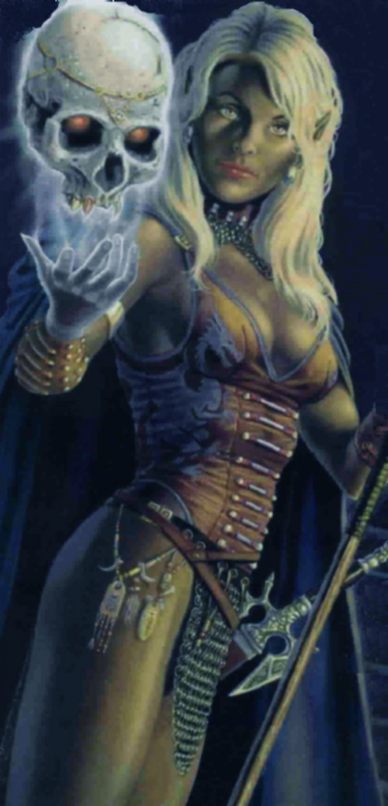 Wild Sorceress Drow